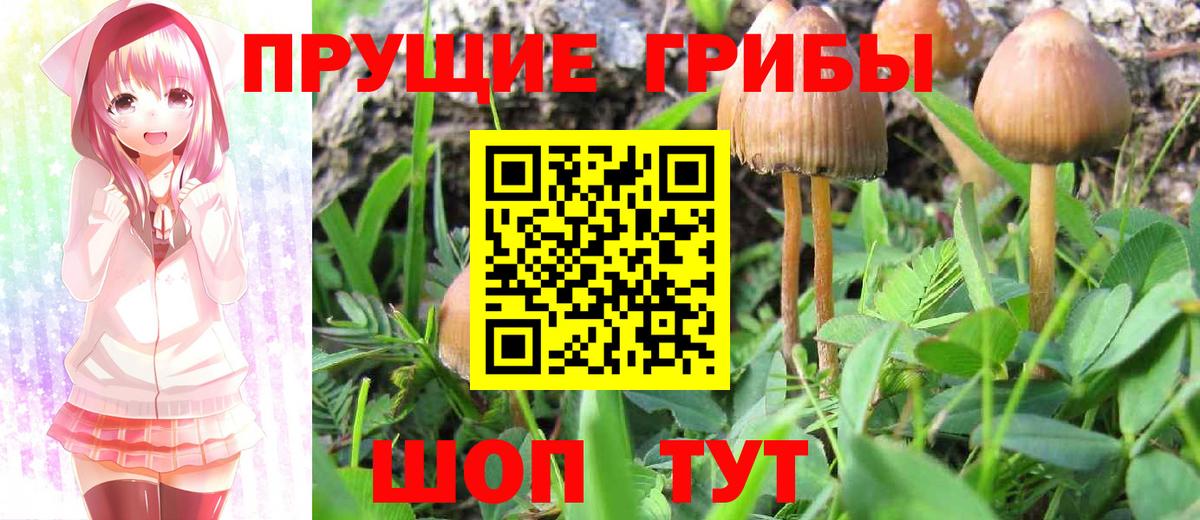 Пушкино  Псилоцибиновые грибы мухоморы  Вход с VPN 